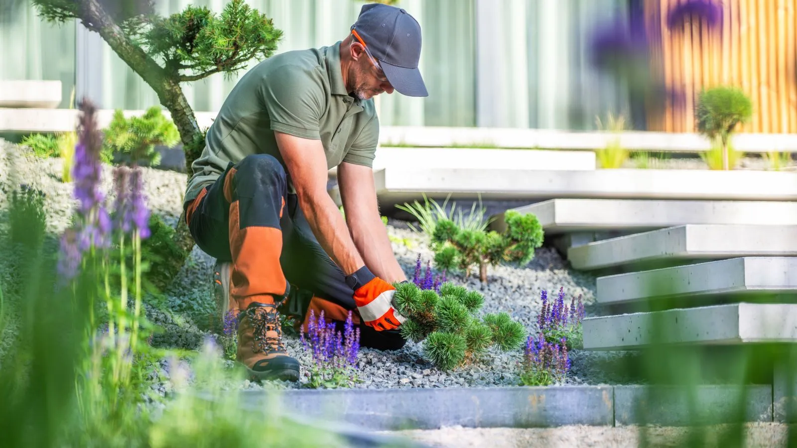 A professional installer planting shrubs in a garden bed